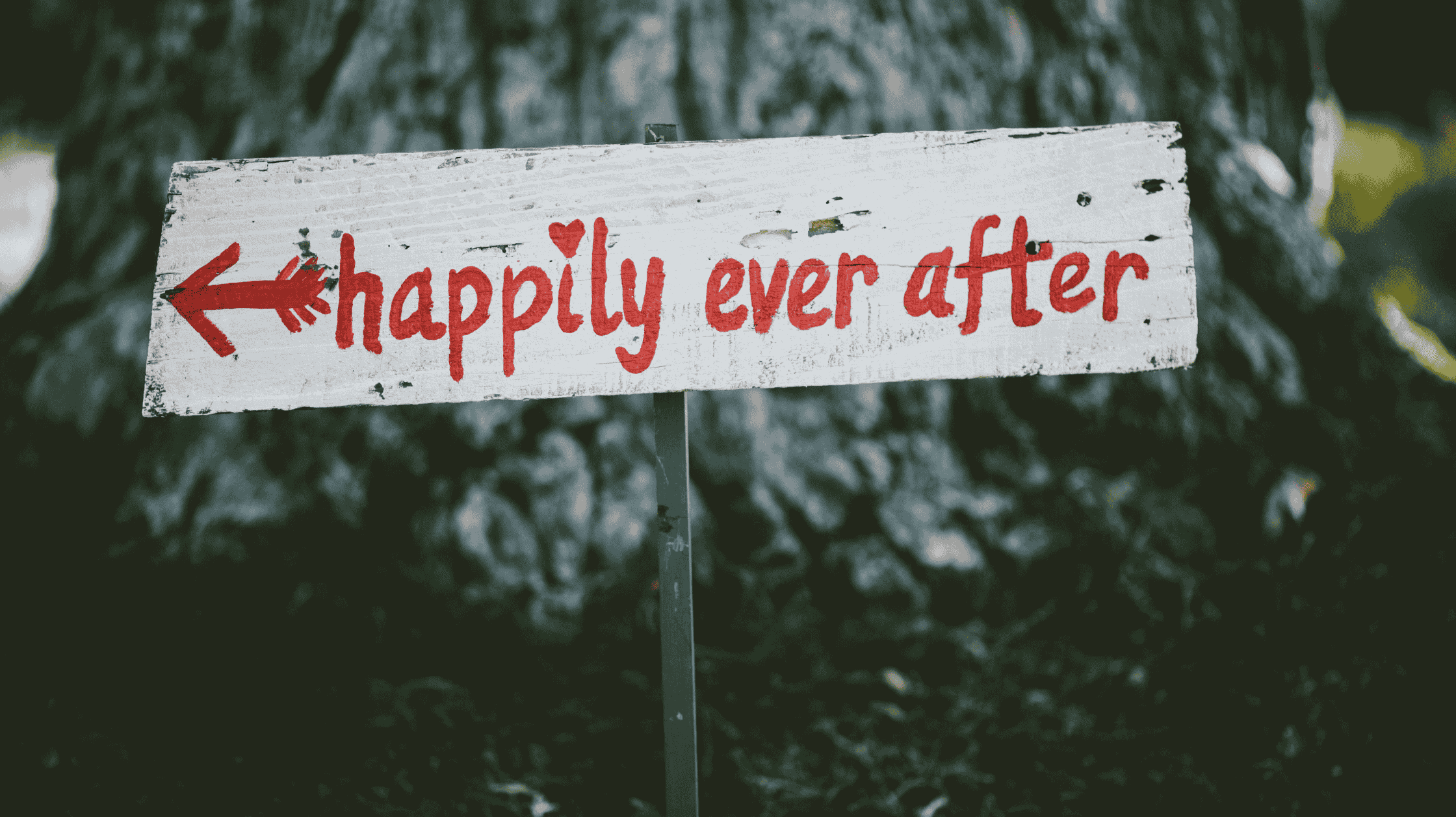Schild mit Aufschrift ‚happily ever after‘ – stimmungsvolles Motiv für kreative Hochzeitsgeschenke von Surprisa